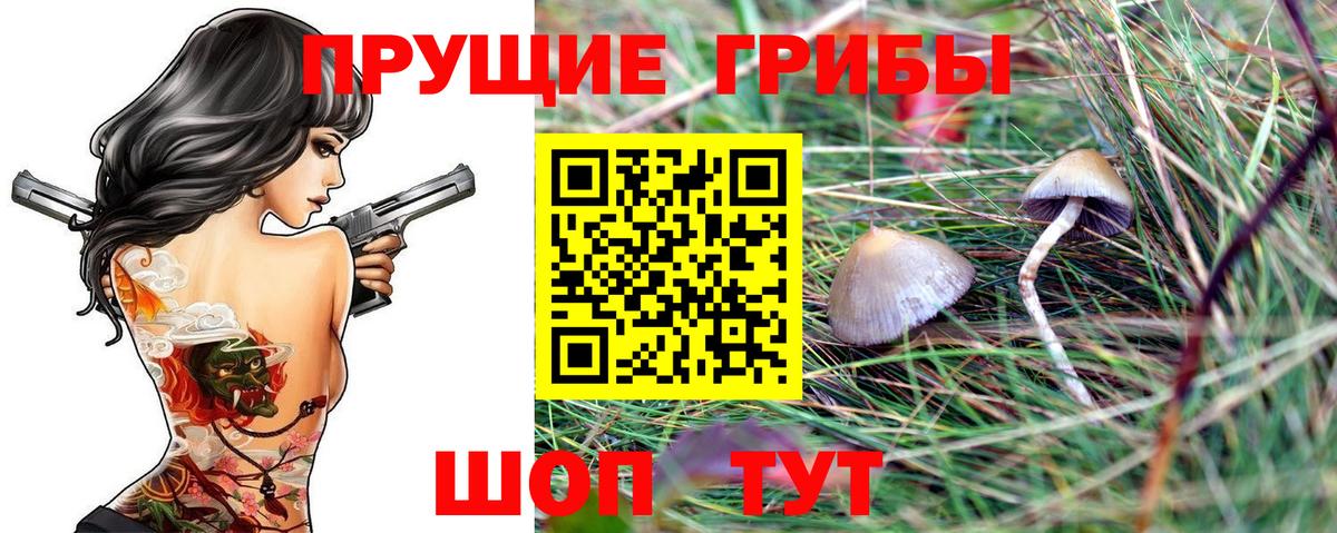 Галлюциногенные грибы GOLDEN TEACHER Котлас