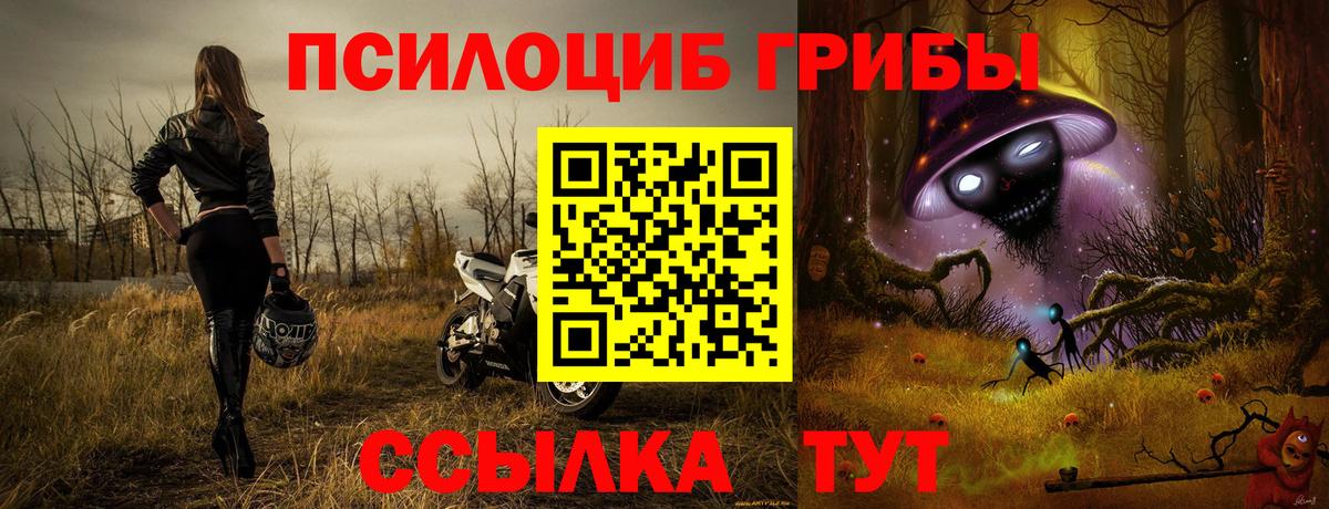Галлюциногенные грибы ЛСД  Псилоцибиновые грибы Psilocybe  Котлас  Вход с VPN 